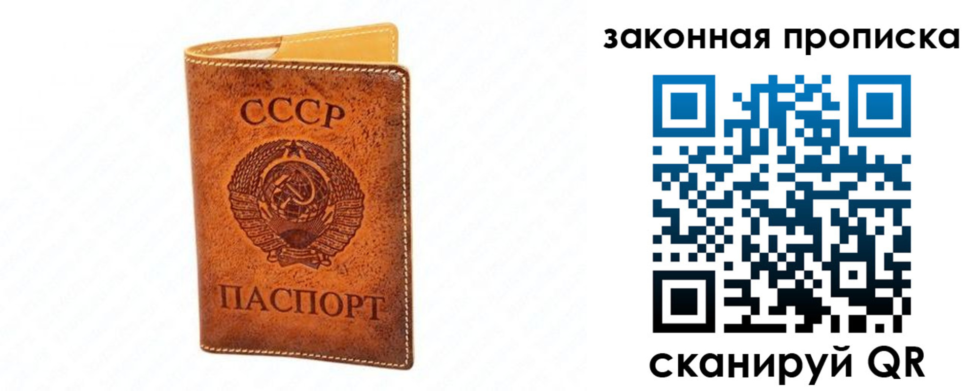 прописка в Химках